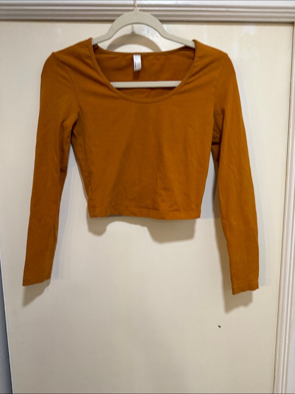 American Apparel Rust-Orange Long Sleeve Crop Top